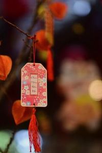 tứ sắc Debet